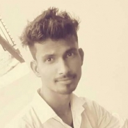 Sachin Kumar-Freelancer in Pilani,India