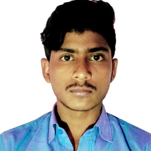 Hasnain Ansari-Freelancer in INDIA,India