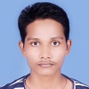 Pradeep Rajbhar-Freelancer in Lucknow,India