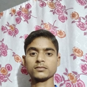 Siraj Ahmad-Freelancer in Kanpur,India