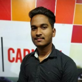 Raj Kamal Yadav-Freelancer in Greater Noida,India