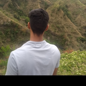 Himanshu Chandel-Freelancer in ,India