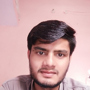 Manish Kumar Meena-Freelancer in Jaipur,India