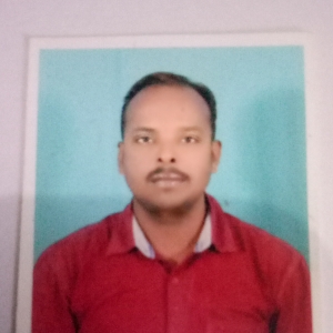 Ismail Basha Khadri Shaik-Freelancer in Anantapur ,India