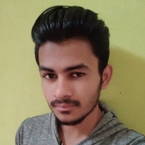 Ravi Appaji-Freelancer in ,India