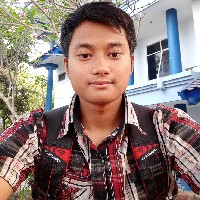 Ronny Hadi Pangestu-Freelancer in ,Indonesia