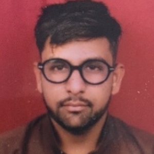 Hitesh Baberwal-Freelancer in ,India