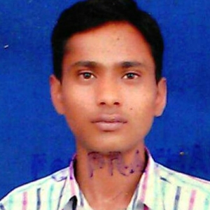 Udham Singh-Freelancer in ,India