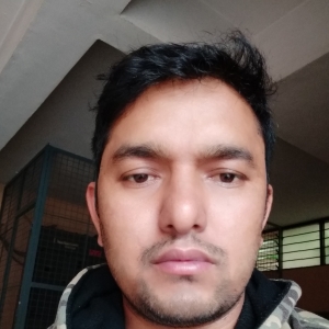 Narayan Dhami-Freelancer in Bengaluru,India