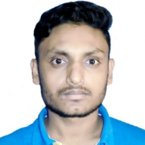 alauddin ali-Freelancer in PUNE,India