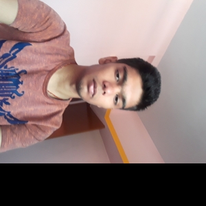 Prince Kumar-Freelancer in Patna,India