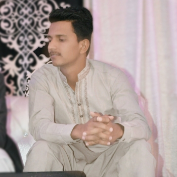 Muhammad Hamza-Freelancer in Hasilpur,Pakistan
