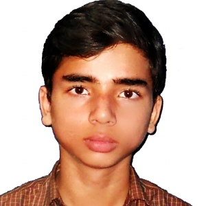 Saifuddin -Freelancer in Lucknow,India