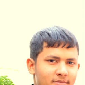 Gagan Meena-Freelancer in Jaipur,India