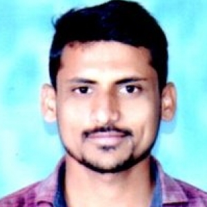 Pravin Rohokale-Freelancer in ,India
