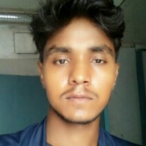 Aryan Pratap Singh Aryan-Freelancer in ,India
