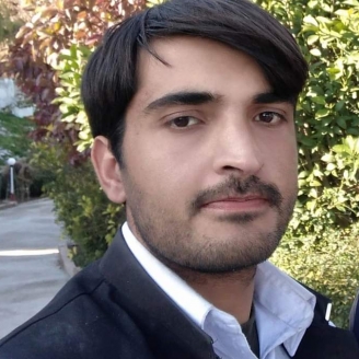 Benyamin Khan-Freelancer in Dera Ismail Khan,Pakistan