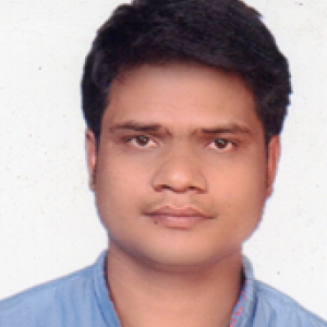 Krishnrao Baraskar-Freelancer in Betul,India