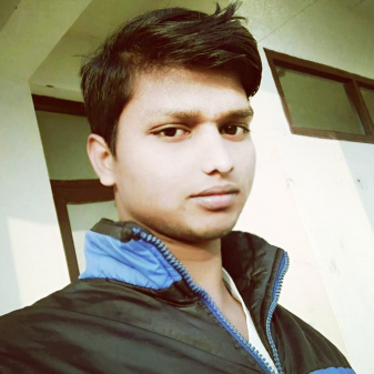 Raushan Kumar-Freelancer in Supaul  India,India