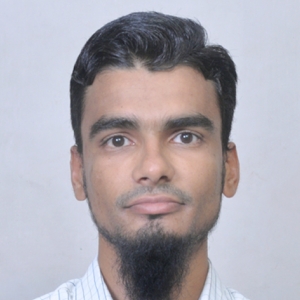Danish Husen-Freelancer in Anand,India
