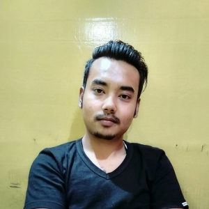 R Steven-Freelancer in Dimapur,India