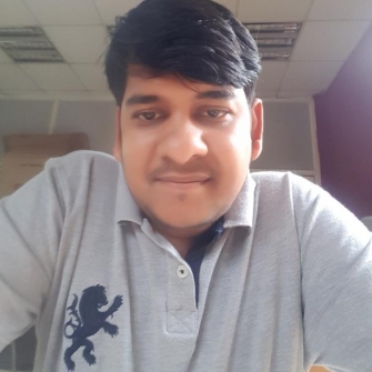 Soumadeep Chatterjee-Freelancer in Noida,India