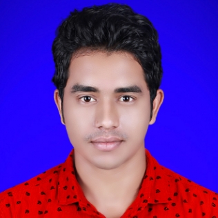 Gopal Sahu-Freelancer in Bilaspur,India