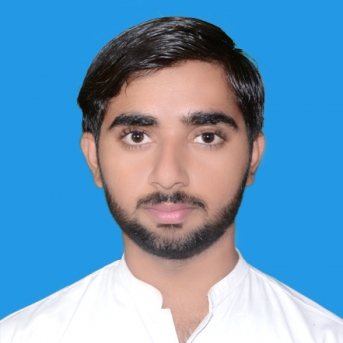 Husnain Ali-Freelancer in Gujranwala kamoke,Pakistan