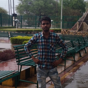 Ravi Kumar-Freelancer in Damoh mp,India