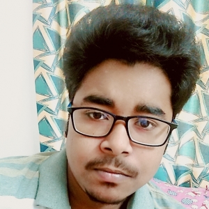 Soumyajit Pal-Freelancer in Kolkata,India