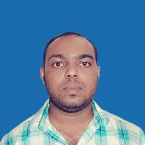 Dildar Ansari-Freelancer in ,India