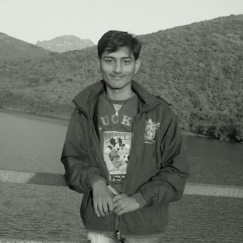 Chetan Sureja-Freelancer in Ahmedabad,India