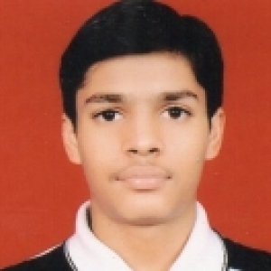 Nakul Jain-Freelancer in Greater Noida,India
