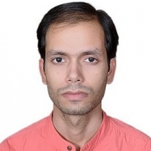 Sanchit Hajela-Freelancer in ,India