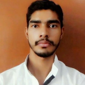 Lokendra Singh-Freelancer in Mathura Uttar Pradesh,India