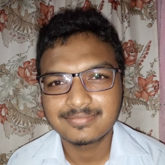 Saibal Roy-Freelancer in ,India