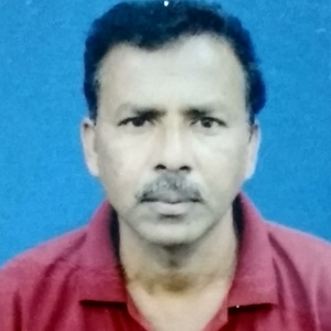 Bijoy Rajak-Freelancer in ,India