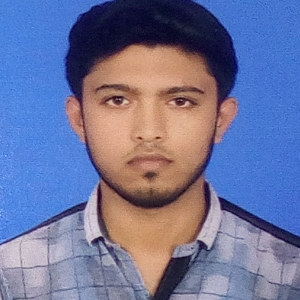Raj Kumar-Freelancer in Patna,India