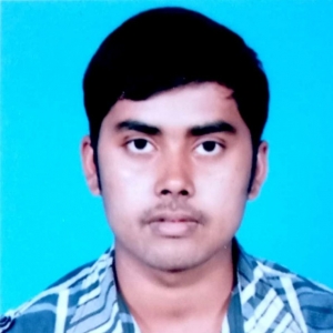 Avijit Bardhan-Freelancer in ,India