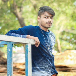 VASU JANAKI RAMAIAH-Freelancer in Chirala,India