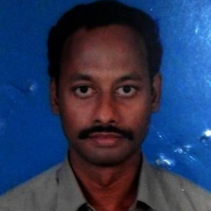 Ramalingam Sakthivel-Freelancer in Chidambaram,India