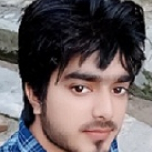 Manish Vishwakarma-Freelancer in Faizabad,India