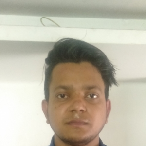 Mukesh Rajput-Freelancer in Noida,India