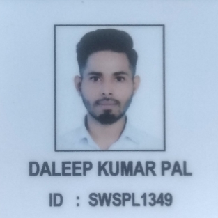 Daleep Kumar Pal-Freelancer in E-65, Qutub Vihar, Phase 1, New Delhi, Delhi-11007,India