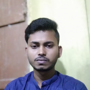 Arindam Maity-Freelancer in Kolkata,India