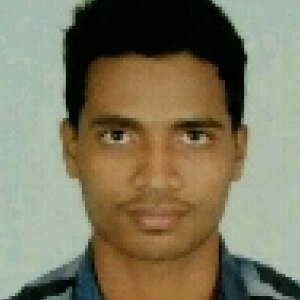 Rajendra Kumar Behera-Freelancer in Bhubaneshwar,India