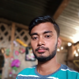 Sibash Das-Freelancer in Guwahati,India