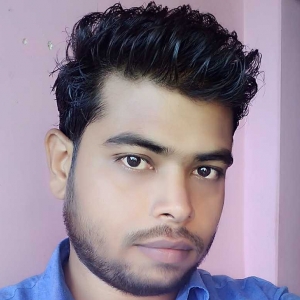 Arif Qureshi-Freelancer in Bharwari,India