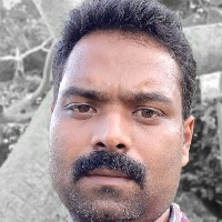 Krishna M-Freelancer in ,India