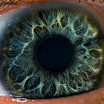 Mubaraq Ali-Freelancer in Islamabad,Pakistan